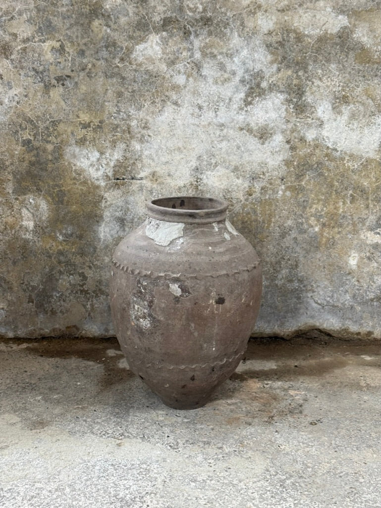 Anatolian Olive Pot