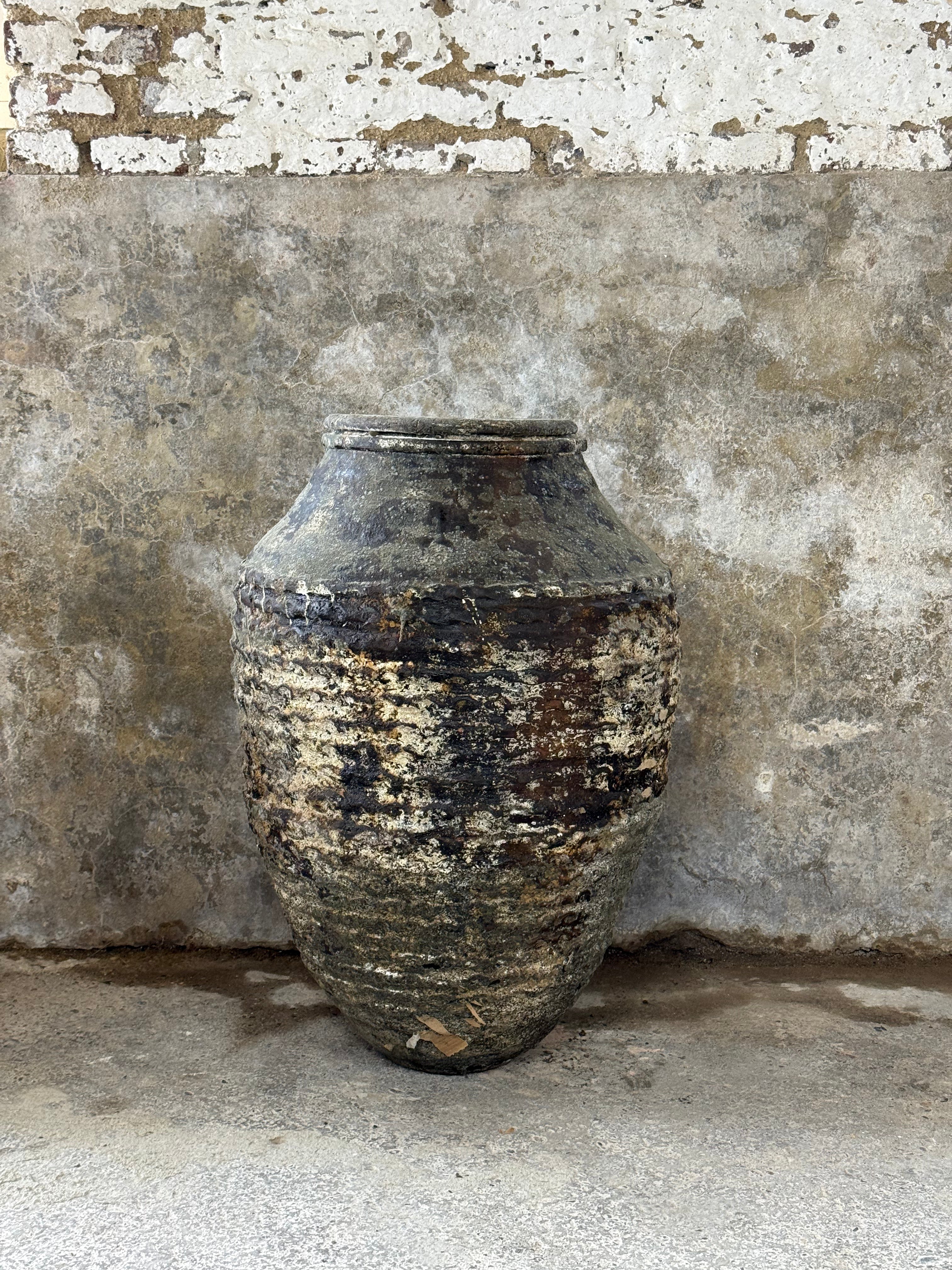 Anatolian Olive Pot