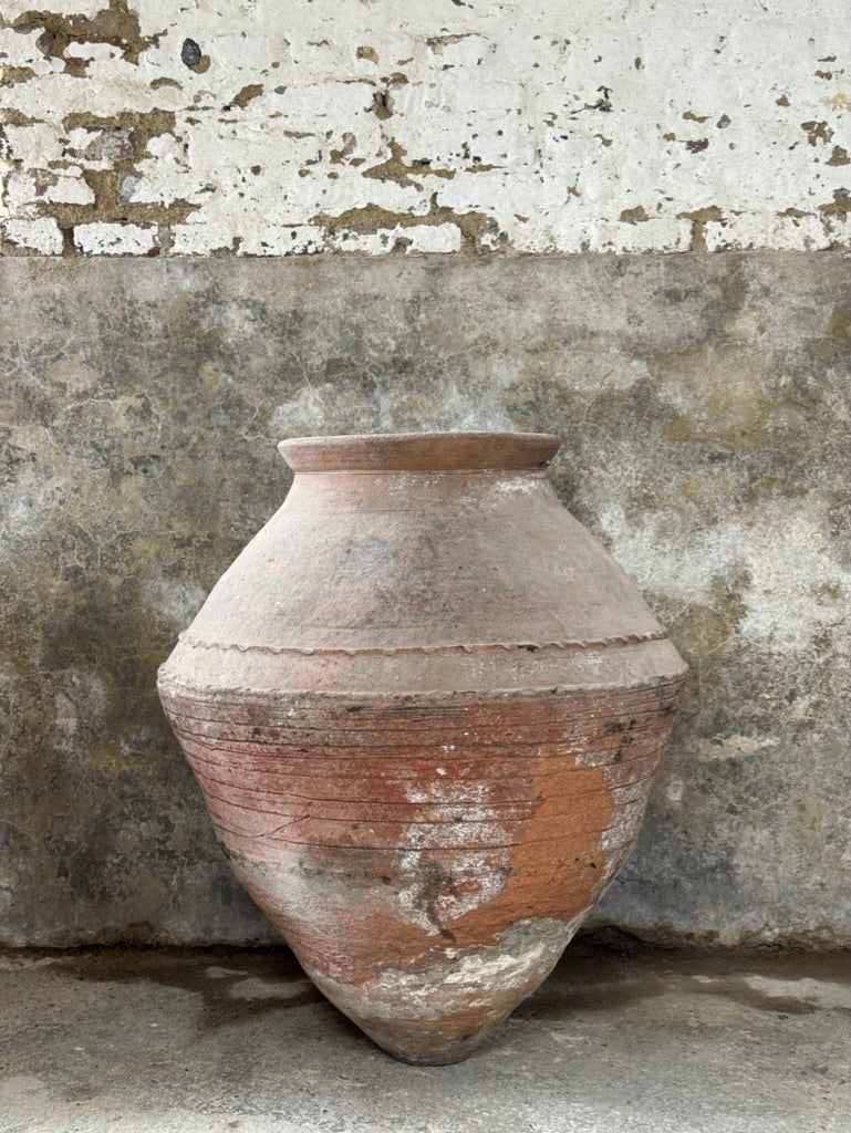 Enez Pot