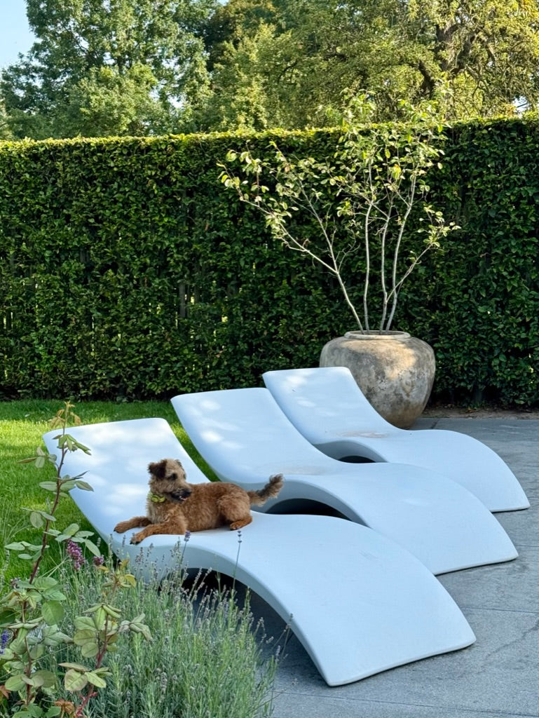 Big Indonesian Water Pot