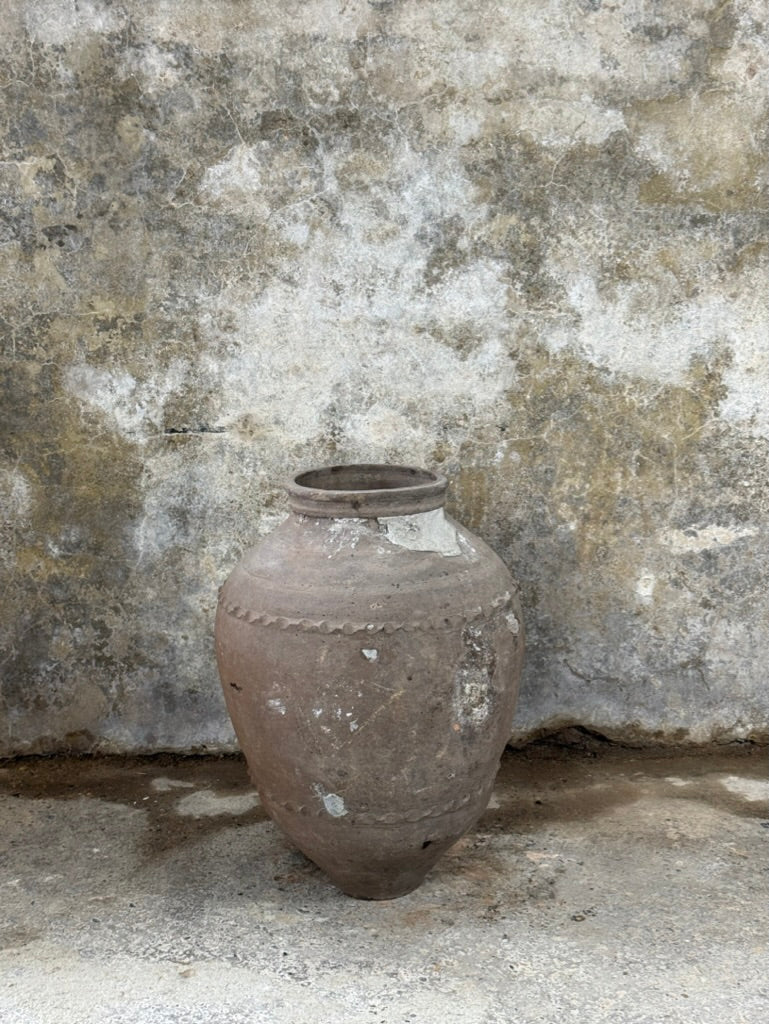 Anatolian Olive Pot