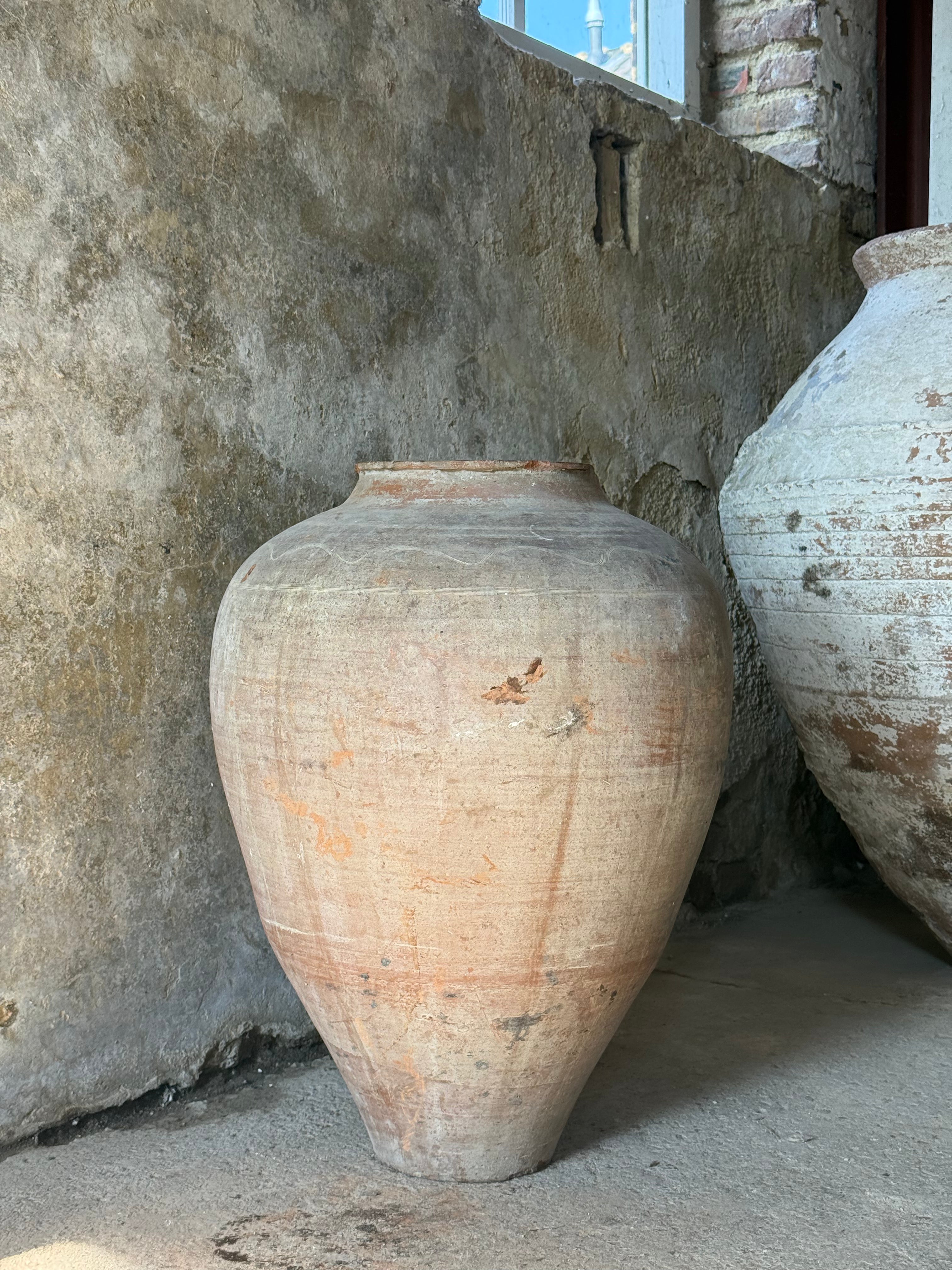 Anatolian Olive Pot