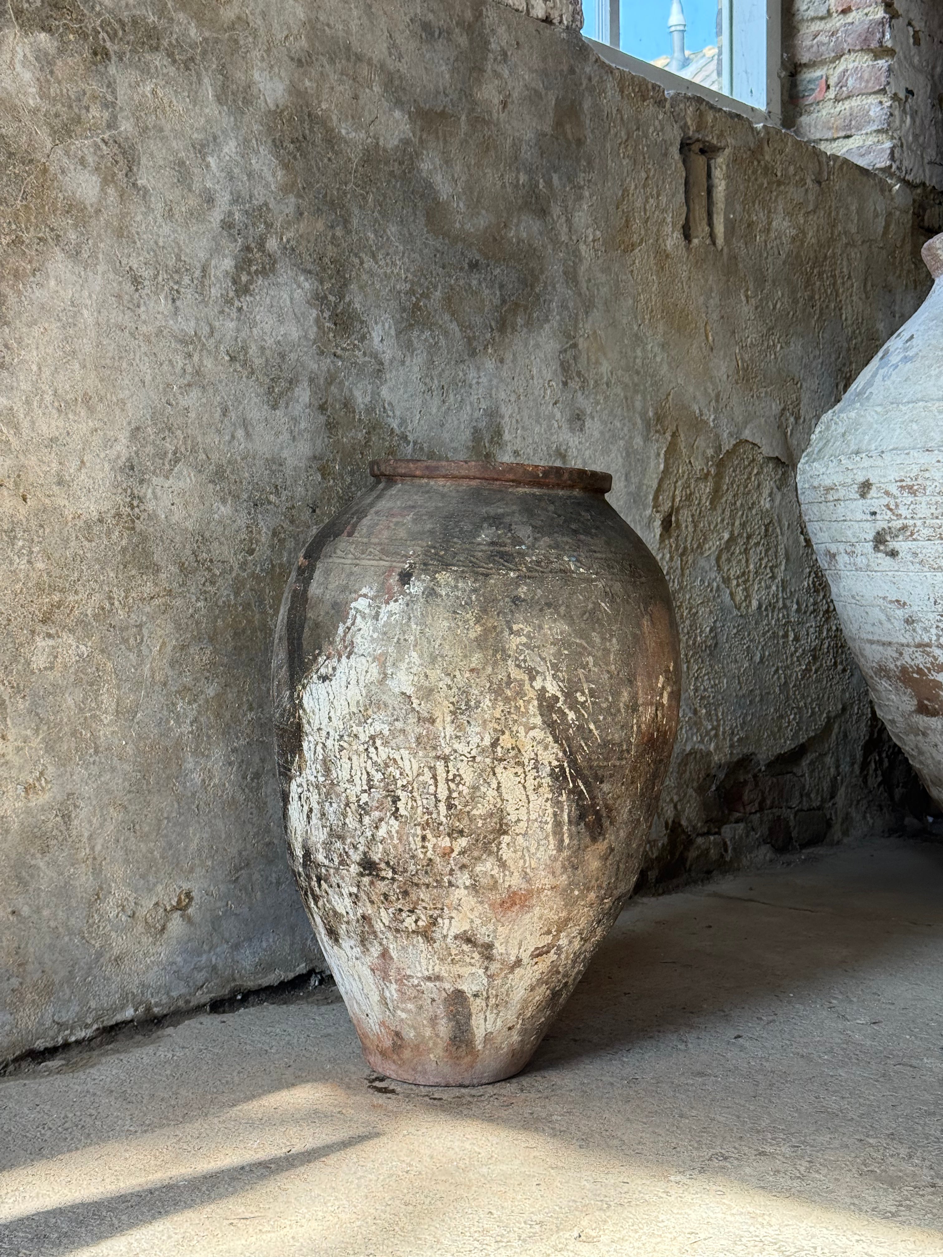 Anatolian Olive Pot