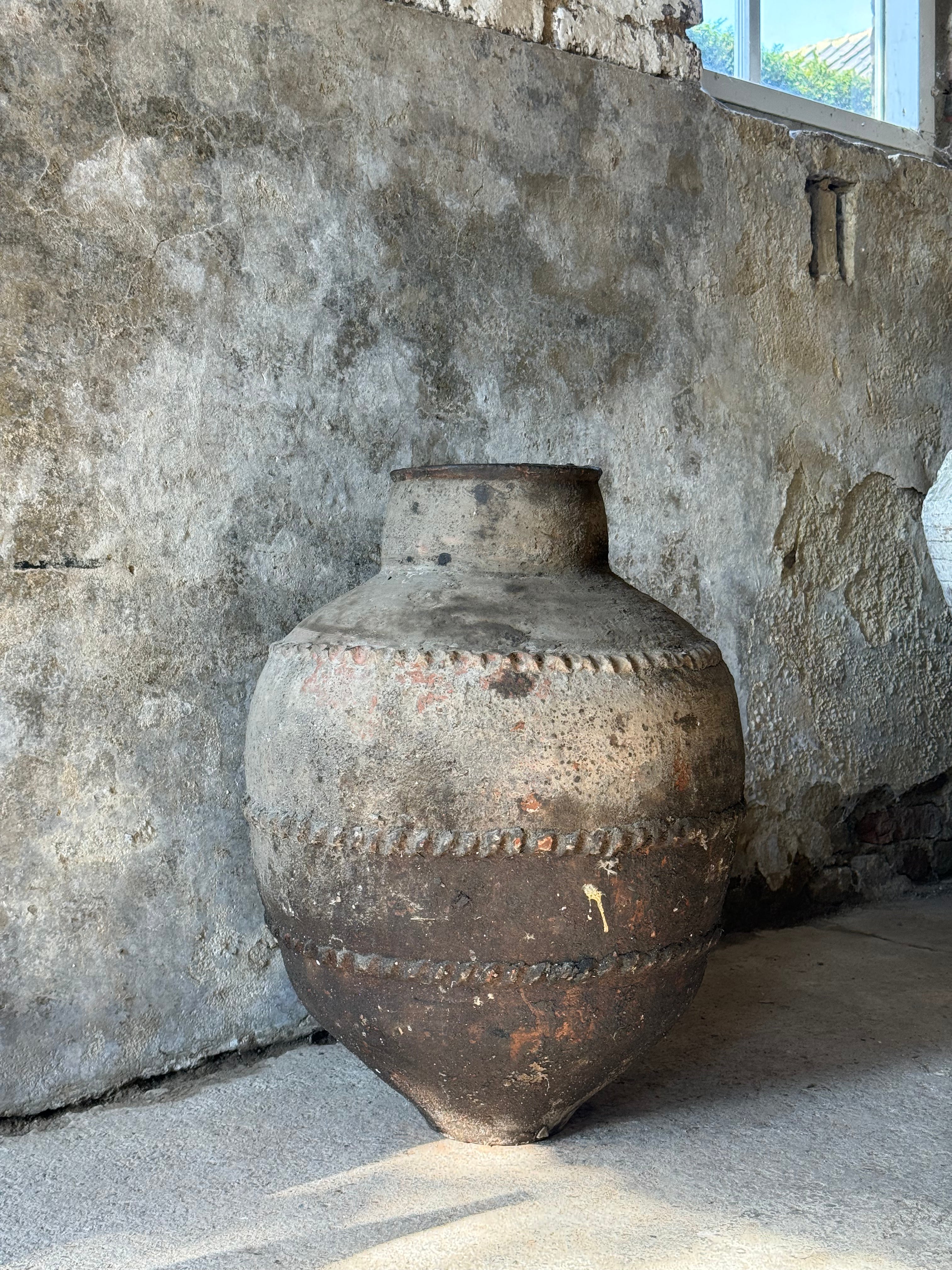 Anatolian Olive Pot