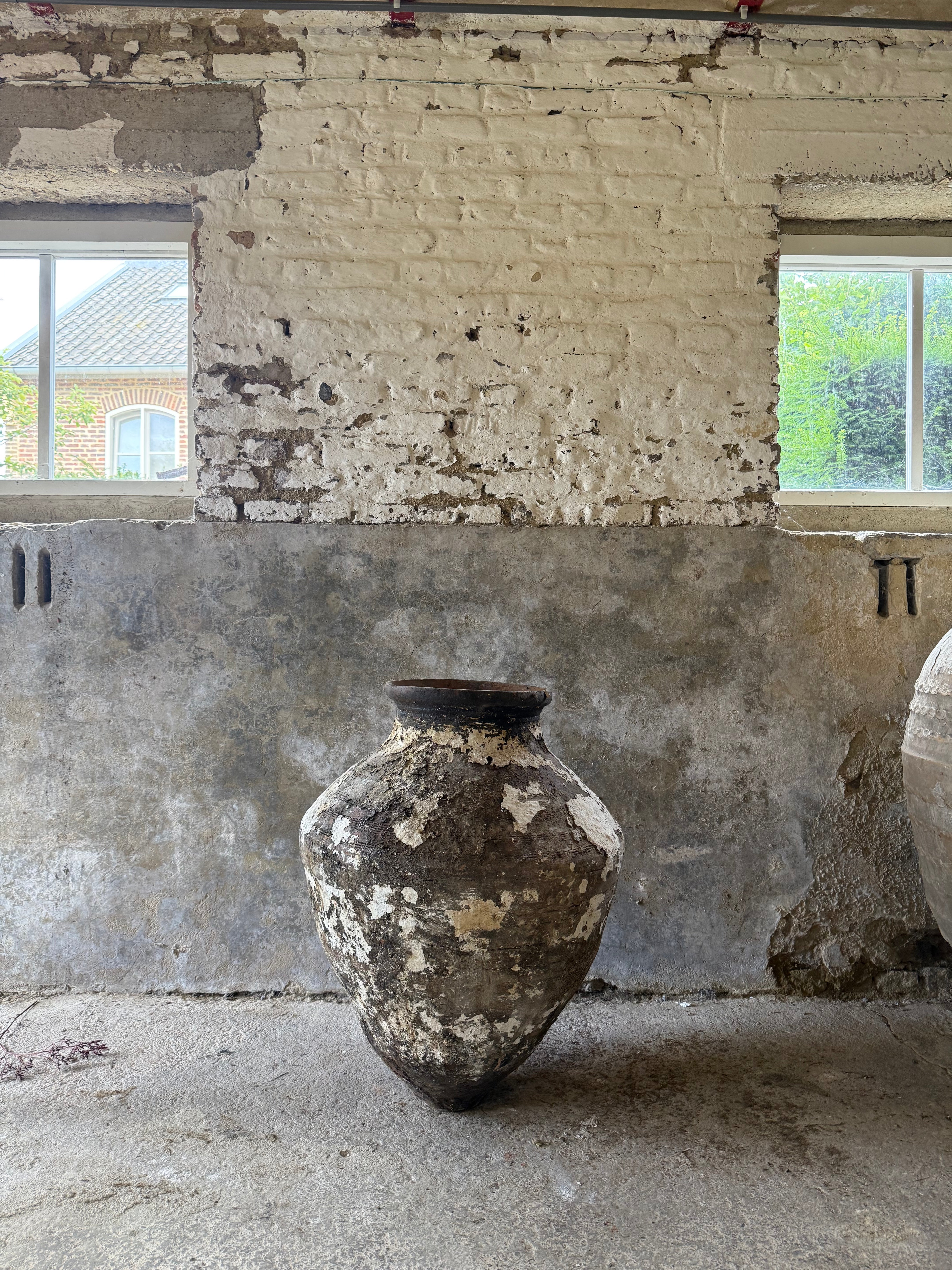 Anatolian Olive Pot