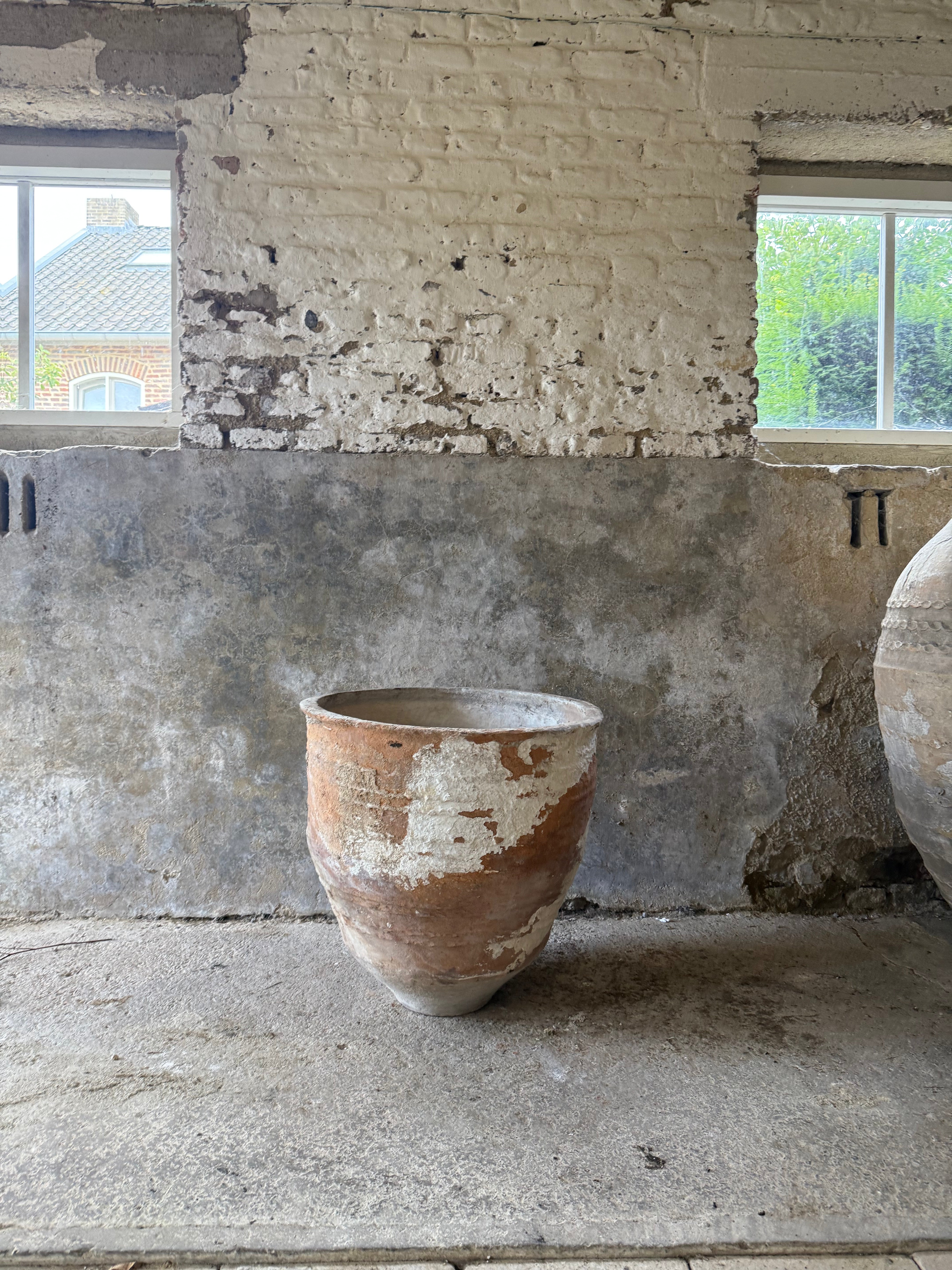 Anatolian Olive Pot