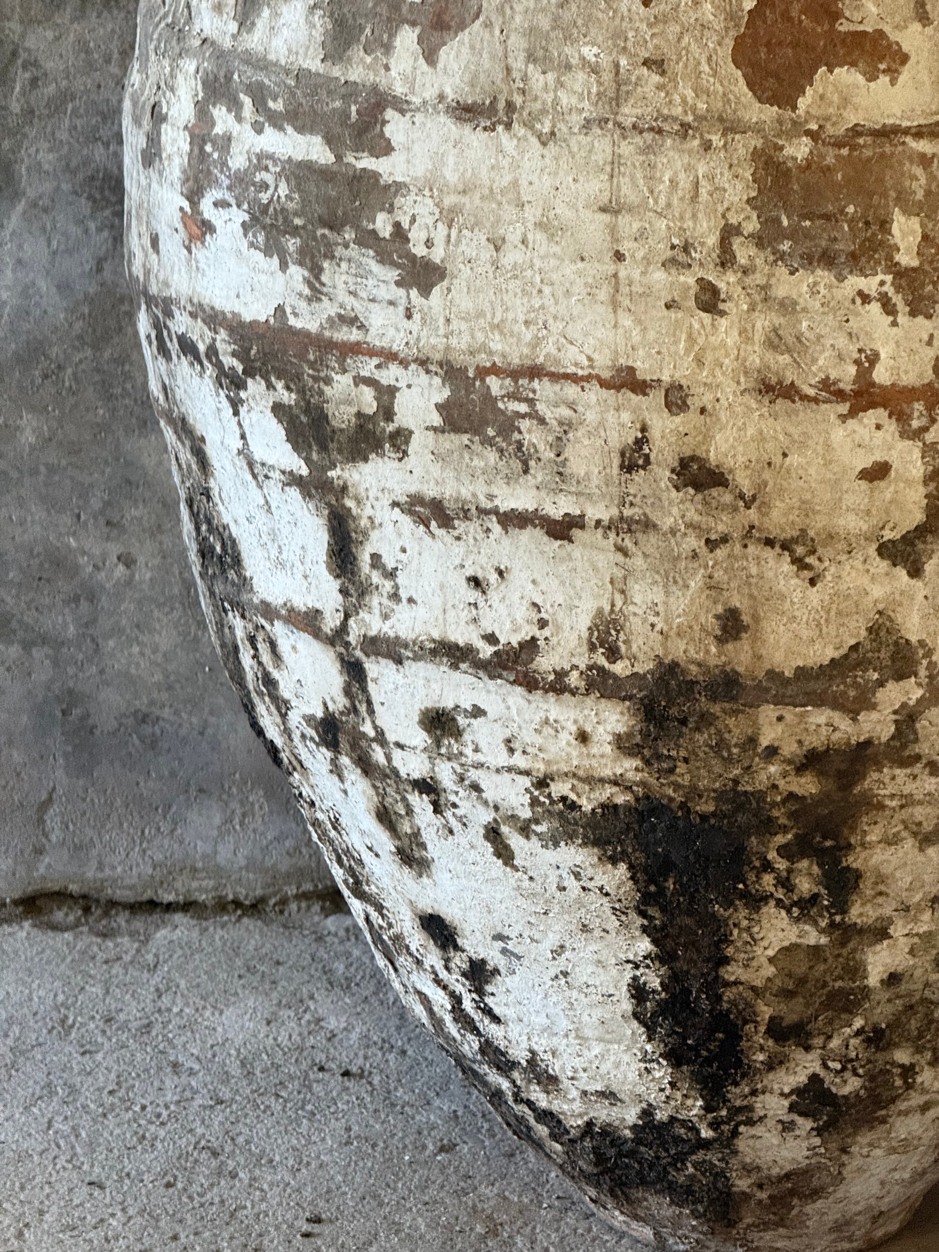 Anatolian Olive Pot