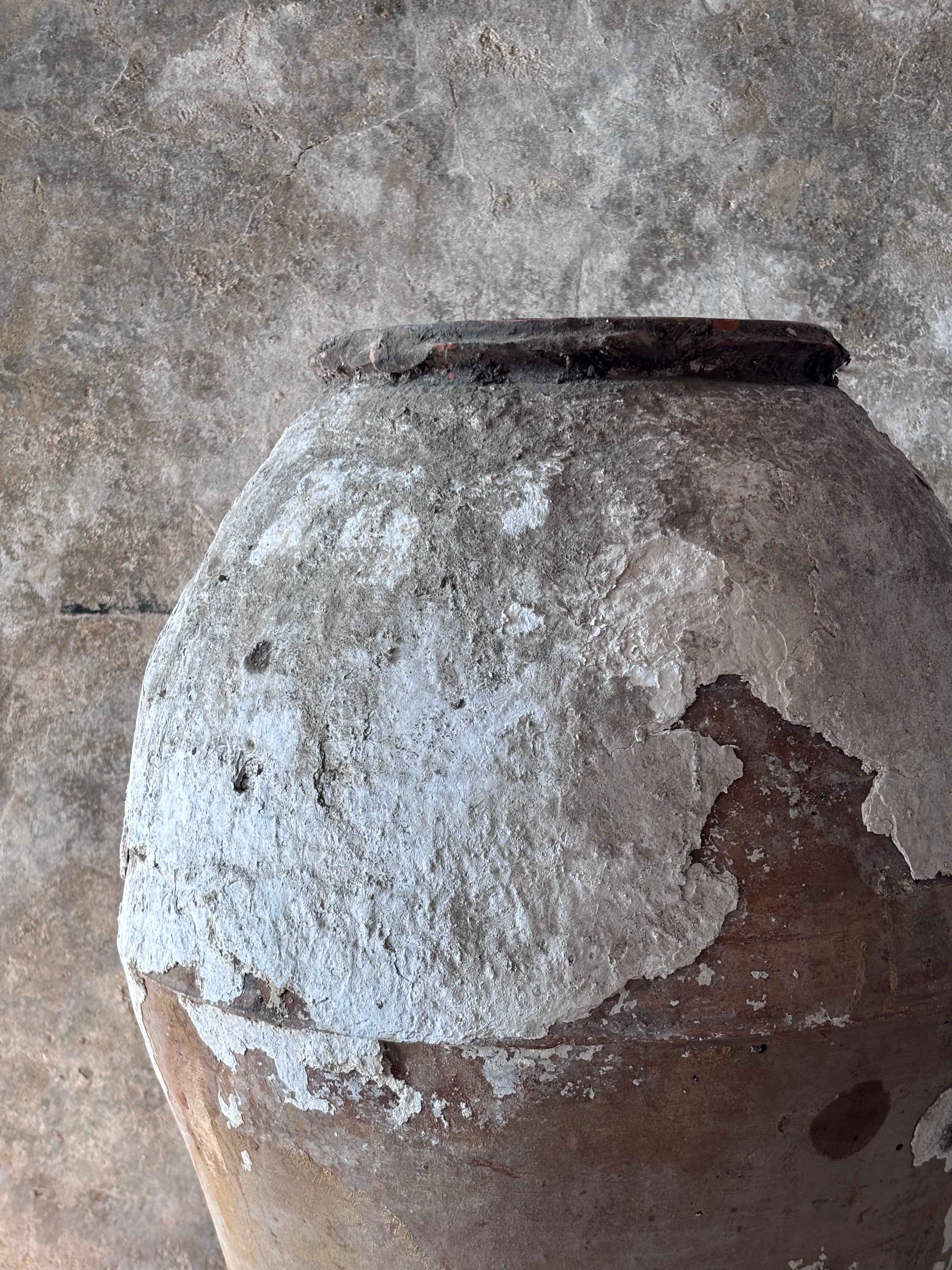 Anatolian Olive Pot