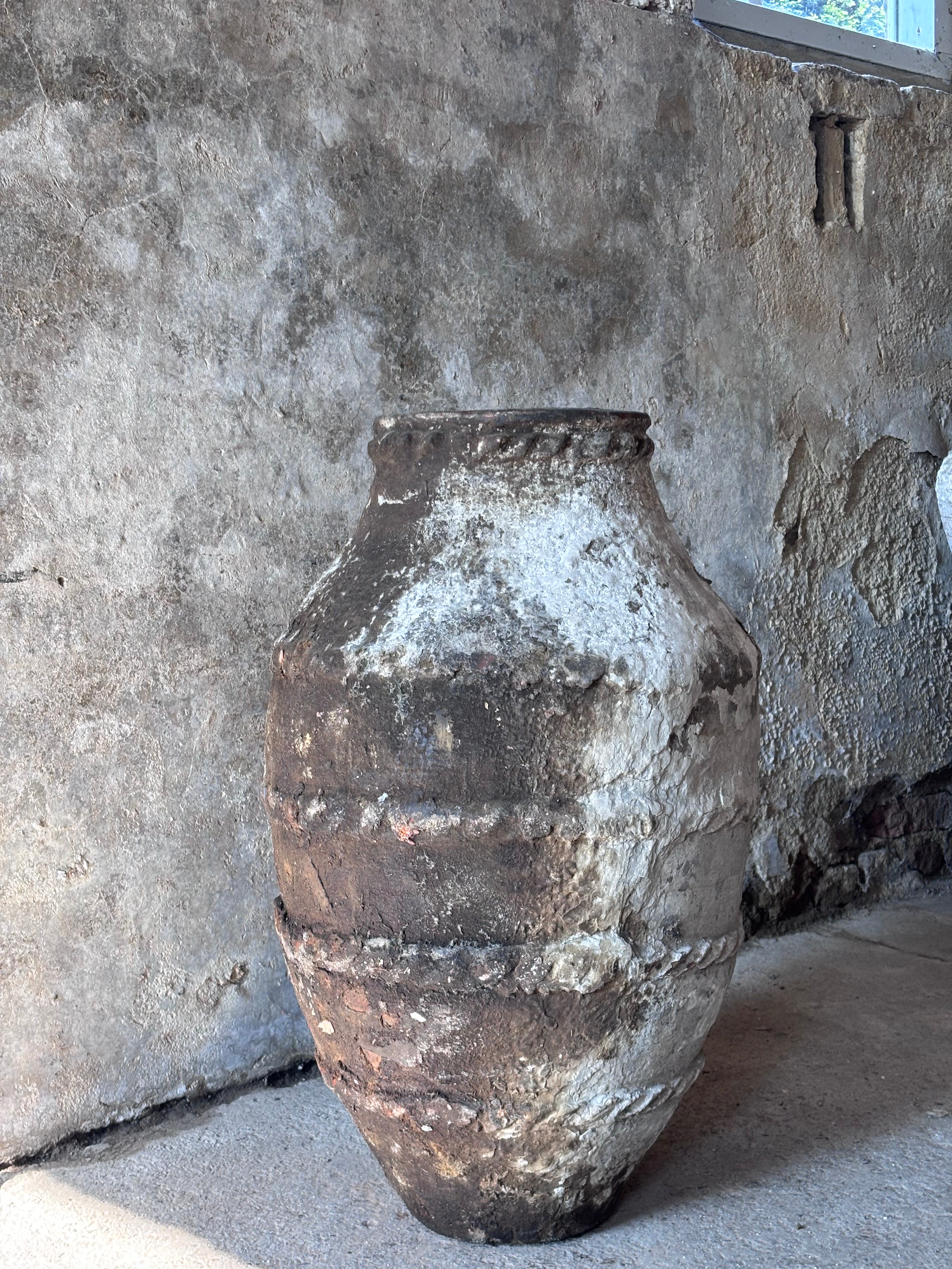 Anatolian Olive Pot
